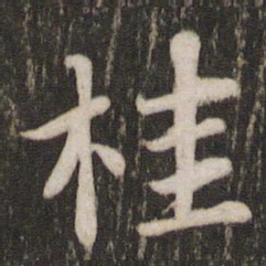 苏轼桂书法图片
