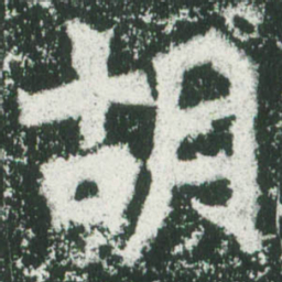 魏碑胡书法图片
