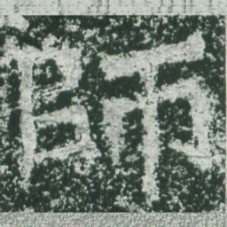 魏碑师书法图片