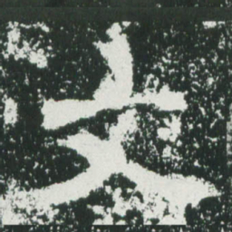魏碑文书法图片