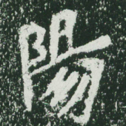 魏碑阳书法图片