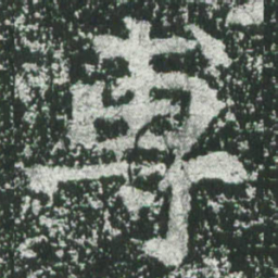 魏碑专书法图片