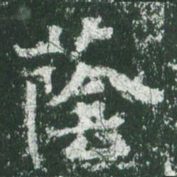 魏碑荫书法图片