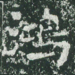 魏碑鸿书法图片