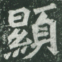 魏碑显书法图片