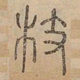 枝书法图片