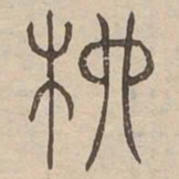 柳书法图片