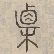 植书法图片
