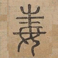 毒书法图片