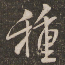 米芾种书法图片