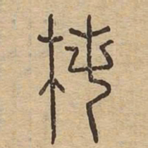 椿书法图片