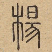 杨书法图片