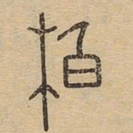 柏书法图片
