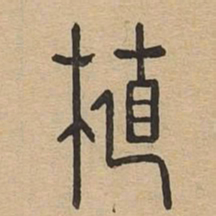 植书法图片