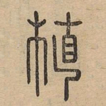 植书法图片