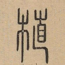 植书法图片