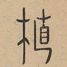 植书法图片