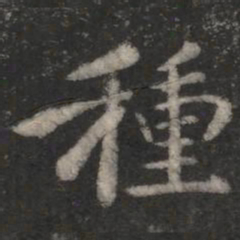 智果种书法图片