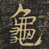 虞世南龟书法图片