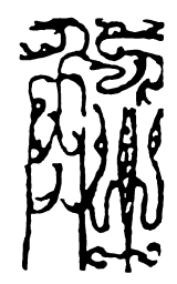 鸟虫篆解书法图片