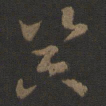 史游器书法图片