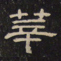 莘书法图片