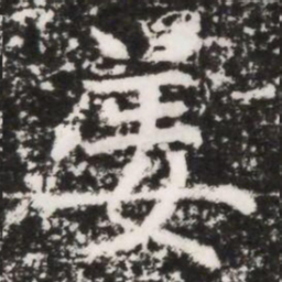 姜书法图片