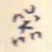 翁方纲器书法图片