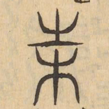 根书法图片