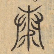 康书法图片