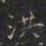 宋濂宏书法图片