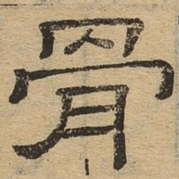 骨书法图片
