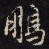 徐光启鹏书法图片