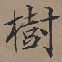 文征明树书法图片