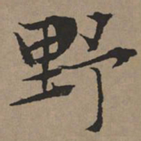 文征明野书法图片