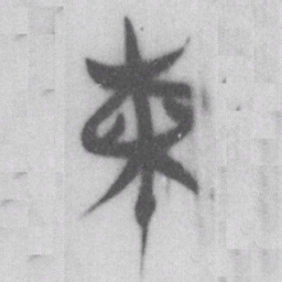 柬书法图片