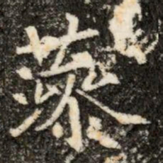 藻书法图片