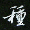唐玉庆种书法图片