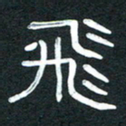 魏建国飞书法图片
