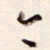 陈立雄今书法图片