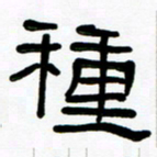 魏建国种书法图片
