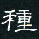 王登峦种书法图片
