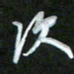 孙兵次书法图片