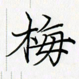 徐利鸿梅书法图片