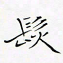 宋家胤发书法图片