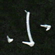 吴伟小书法图片