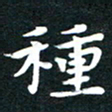 田红武种书法图片