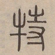 特书法图片