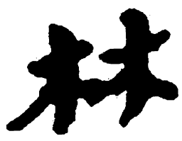简帛林书法图片