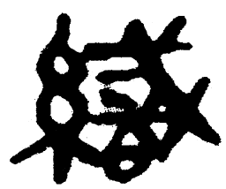 简帛织书法图片